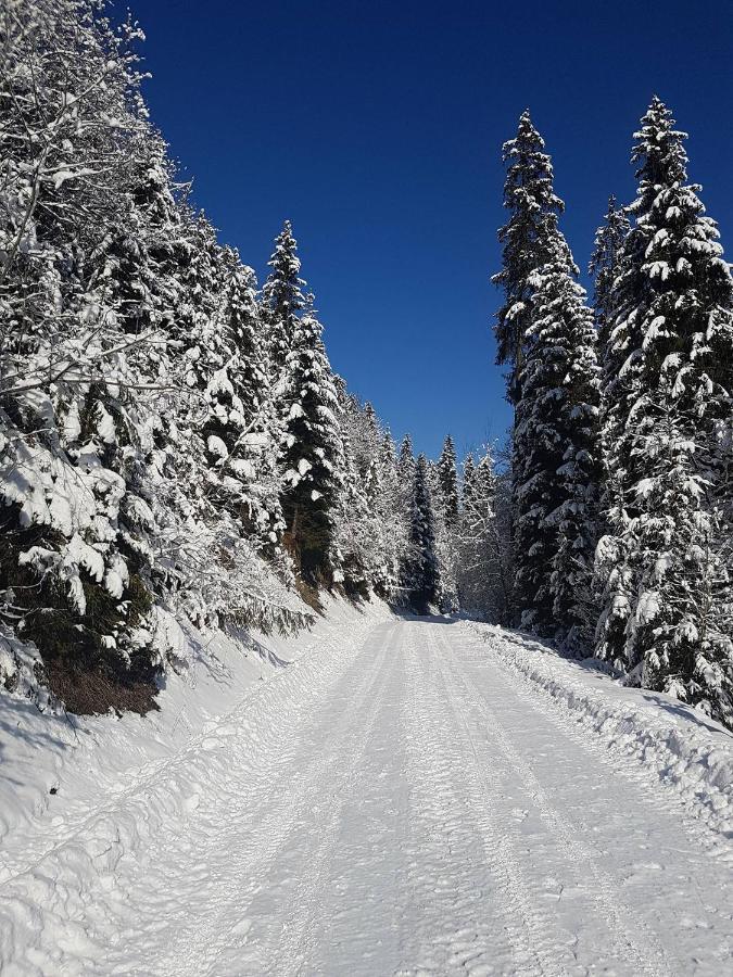 Skalny Zakatek Z Grota Solna Na Wylacznosc Lapsze Nizne Exterior photo